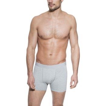 Bread and Boxers Boxer Brief Grå økologisk bomull X-Large Herre