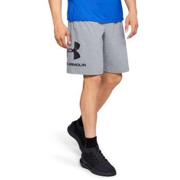 Under Armour Sportstyle Cotton Graphic Shorts Grå Large Herre