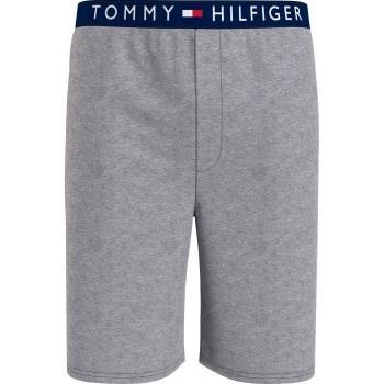 Tommy Hilfiger Loungewear Jersey Shorts Grå bomull Medium Herre