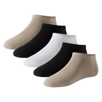 Schiesser Strømper 5P Men Sneaker Socks Multi-colour-2 Str 39/42 Herre