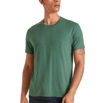 Calida DSW Balancing T-Shirt Mørkgrørnn  Small Herre