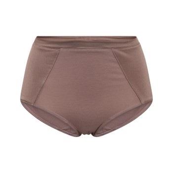 JBS of Denmark Truser Maxi Brief Rosa Small Dame