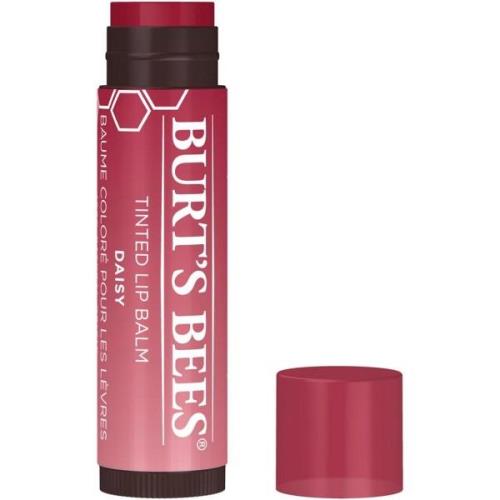 Burt's Bees Tinted Lip Balm Daisy - 170 g