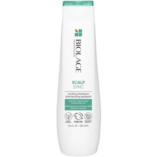 Biolage Scalp Sync Anti Dandruff Shampoo - 250 ml