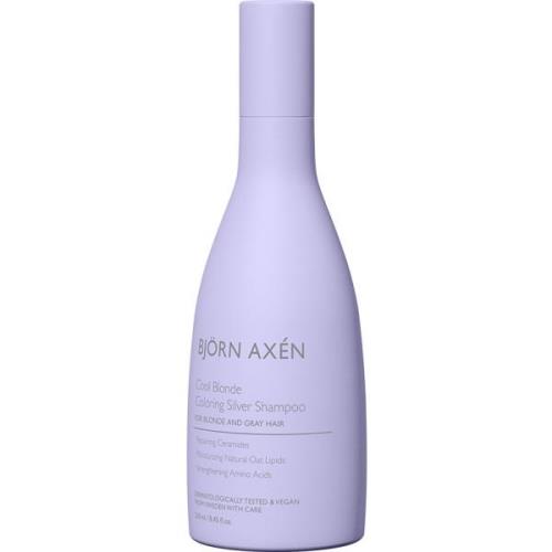 Björn Axén Cool Blonde Coloring Silver Shampoo 250 ml