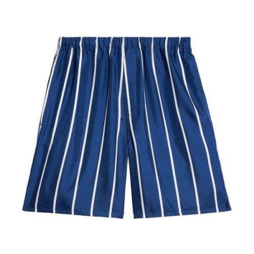 Blå Silke Stripe Print Shorts