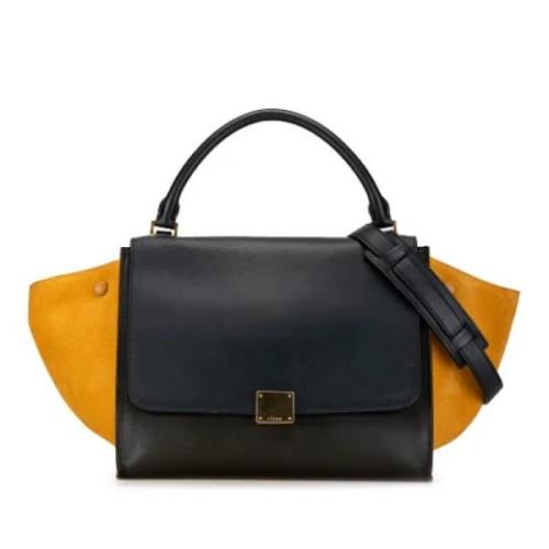 Pre-owned Leather celine-bags