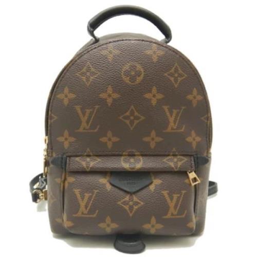 Pre-owned Plastic louis-vuitton-bags