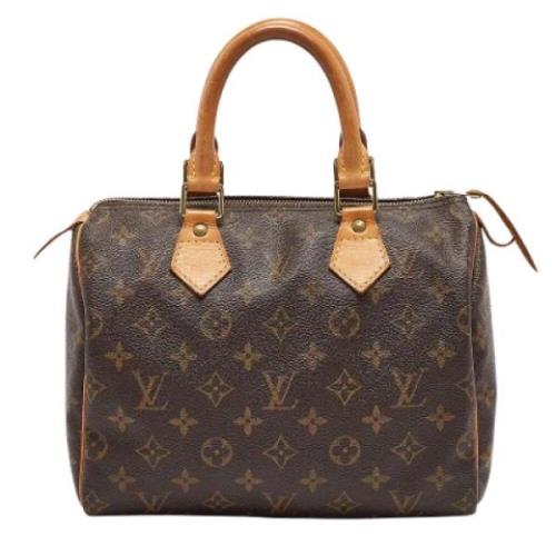 Pre-owned Leather louis-vuitton-bags