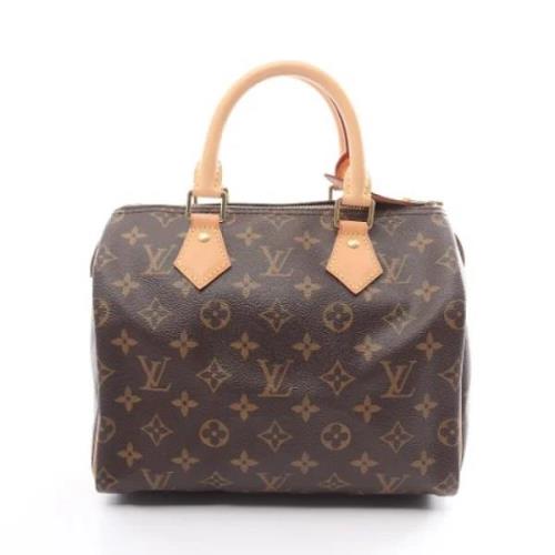 Pre-owned Leather louis-vuitton-bags