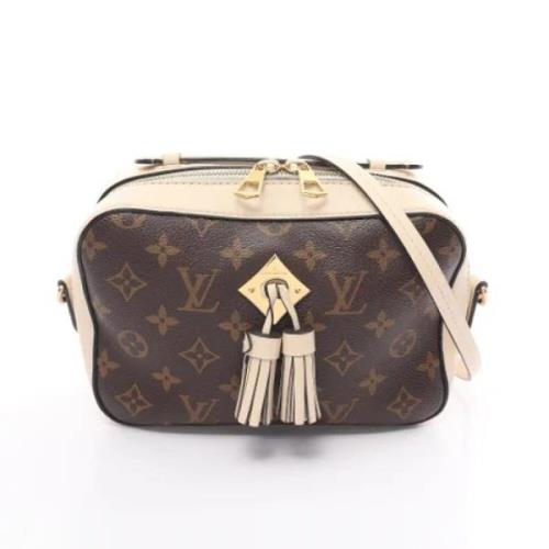 Pre-owned Leather louis-vuitton-bags