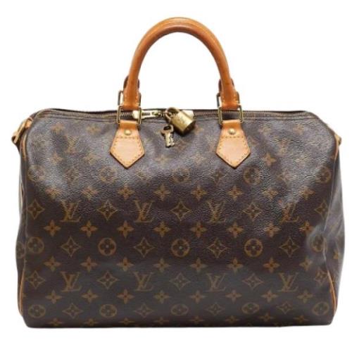 Pre-owned Leather louis-vuitton-bags