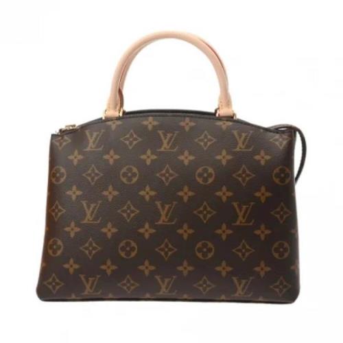 Pre-owned Leather louis-vuitton-bags