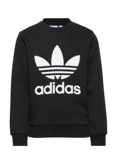 Trefoil Crew Black Adidas Originals