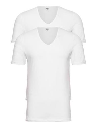 Jbs 2-Pack T-Shirt V-Neck Gots White JBS