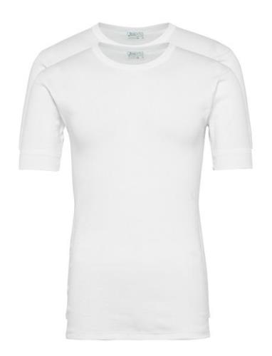 Jbs T-Shirt 2-Pack Organic White JBS