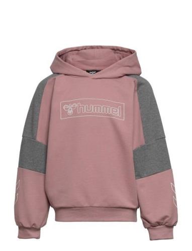 Hmlboxline Hoodie Hummel