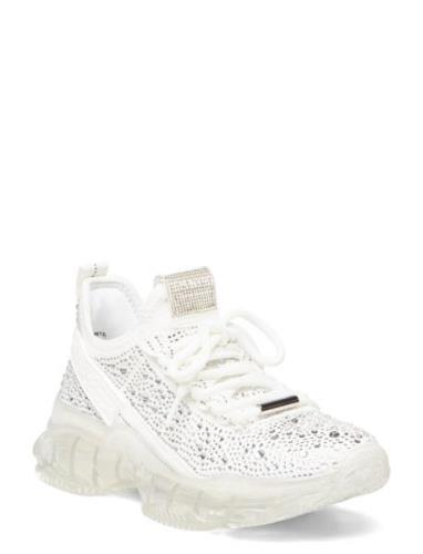 Maxima-R Sneaker White Steve Madden