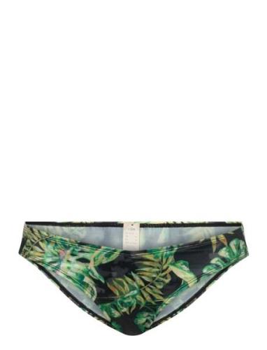 Kano Brief Green Dorina