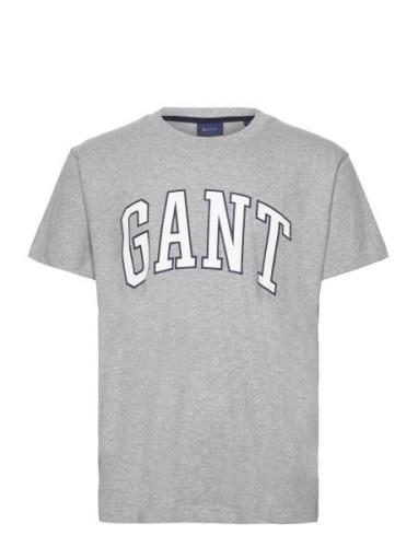 Md. Gant T-Shirt Grey GANT