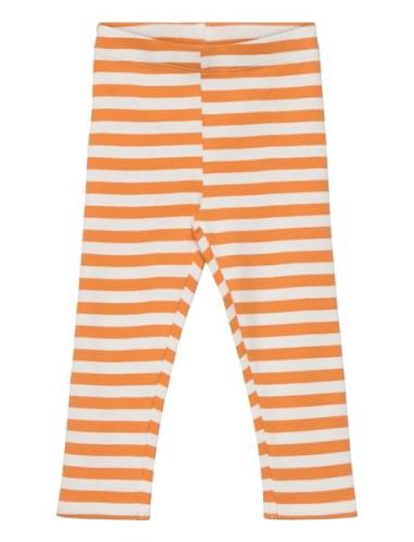 Sgissey Yd Striped Leggings Acorn Orange Soft Gallery