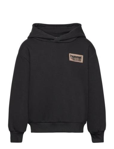 Hmldare Hoodie Black Hummel