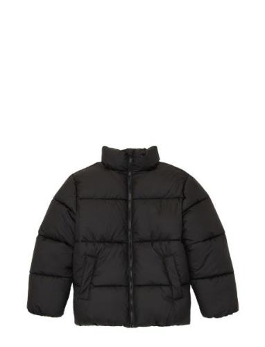 Puffer Winter Jacket Black Tom Tailor
