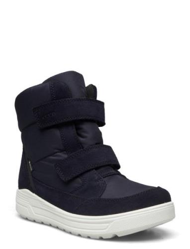 Urban Snowboarder Navy ECCO