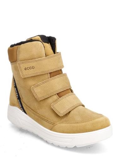 Urban Snowboarder Beige ECCO