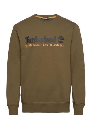 Wwes Crew Neck Bb Khaki Timberland