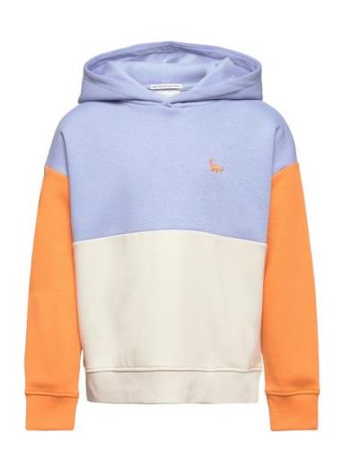 Colorblock Over D Hoody Patterned Tom Tailor