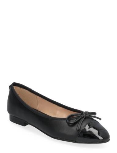 Ellison Ballerina Black Steve Madden