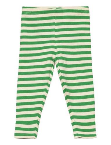 Tnsfinn Rib Leggings Green The New