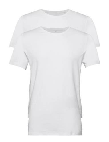 Bhdinton Crew Neck Tee 2-Pack White Blend