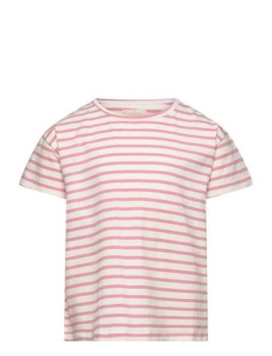 T-Shirt Ss Stripe Pink Creamie