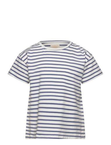 T-Shirt Ss Stripe Blue Creamie