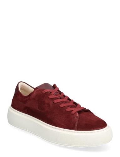 Starlight U Suede Burgundy Sneaky Steve