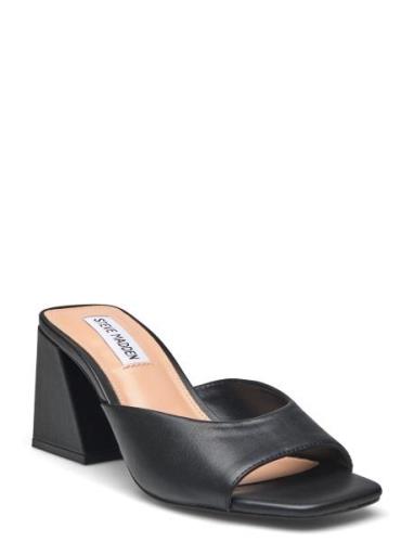 Glowing Sandal Black Steve Madden