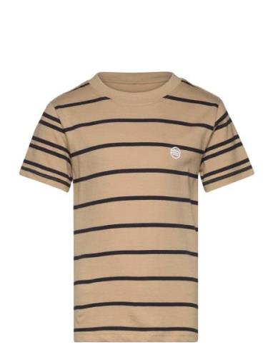 Kobdon S/S Tee Box Jrs Brown Kids Only