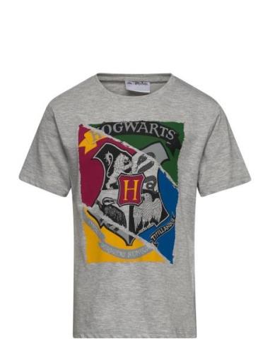 Short-Sleeved T-Shirt Grey Harry Potter