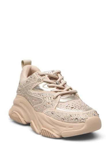 Jprivy Sneaker Beige Steve Madden