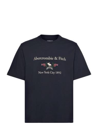 Anf Mens Graphics Blue Abercrombie & Fitch
