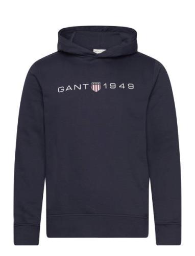 Printed Graphic Hoodie Blue GANT