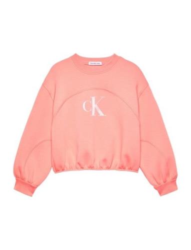 Iridescent Ck Logo Cn Sweatshirt  Calvin Klein