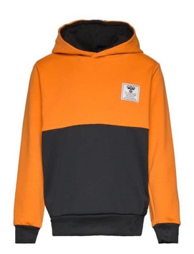 Hmlozzy Hoodie Orange Hummel