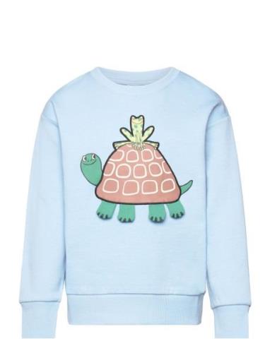 Sweater Turtle Blue Lindex