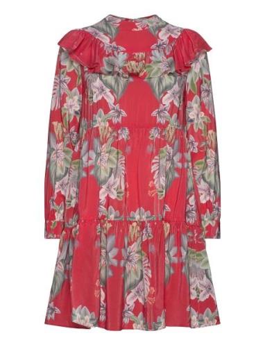 Malva Dress Red Malina