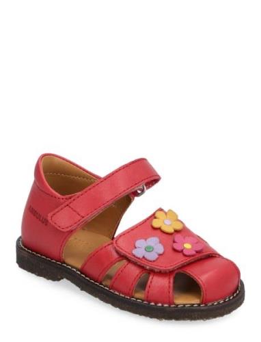 Sandals - Flat - Closed Toe - Red ANGULUS