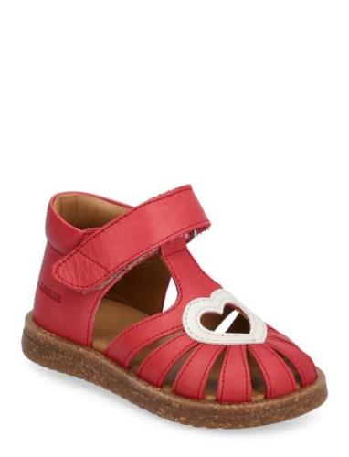 Sandals - Flat - Closed Toe - Red ANGULUS