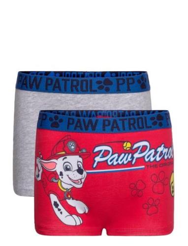 Boxer Patterned Paw Patrol